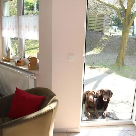 Waldstr 8b Eg Neu Apartment Zinnowitz